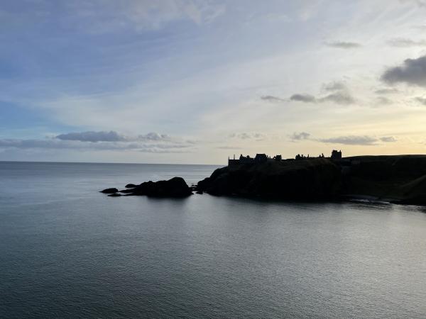 Sea Life in Scotland 