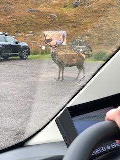 Driving an RV in scotland