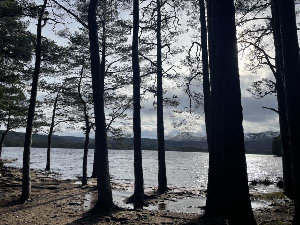 Things to do in and around, Boat Of Garten in the Cairngorms
