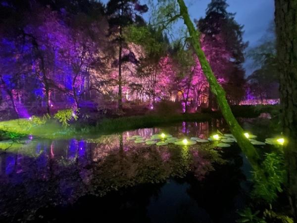 Reasons to Visit and Explore Scotland in 2024