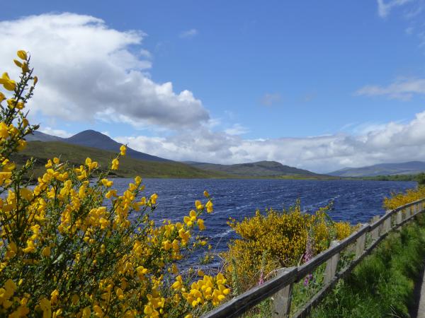 Exploring Scotland By Motorhome