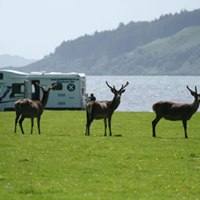 Scottish tourer motorhome by the loch