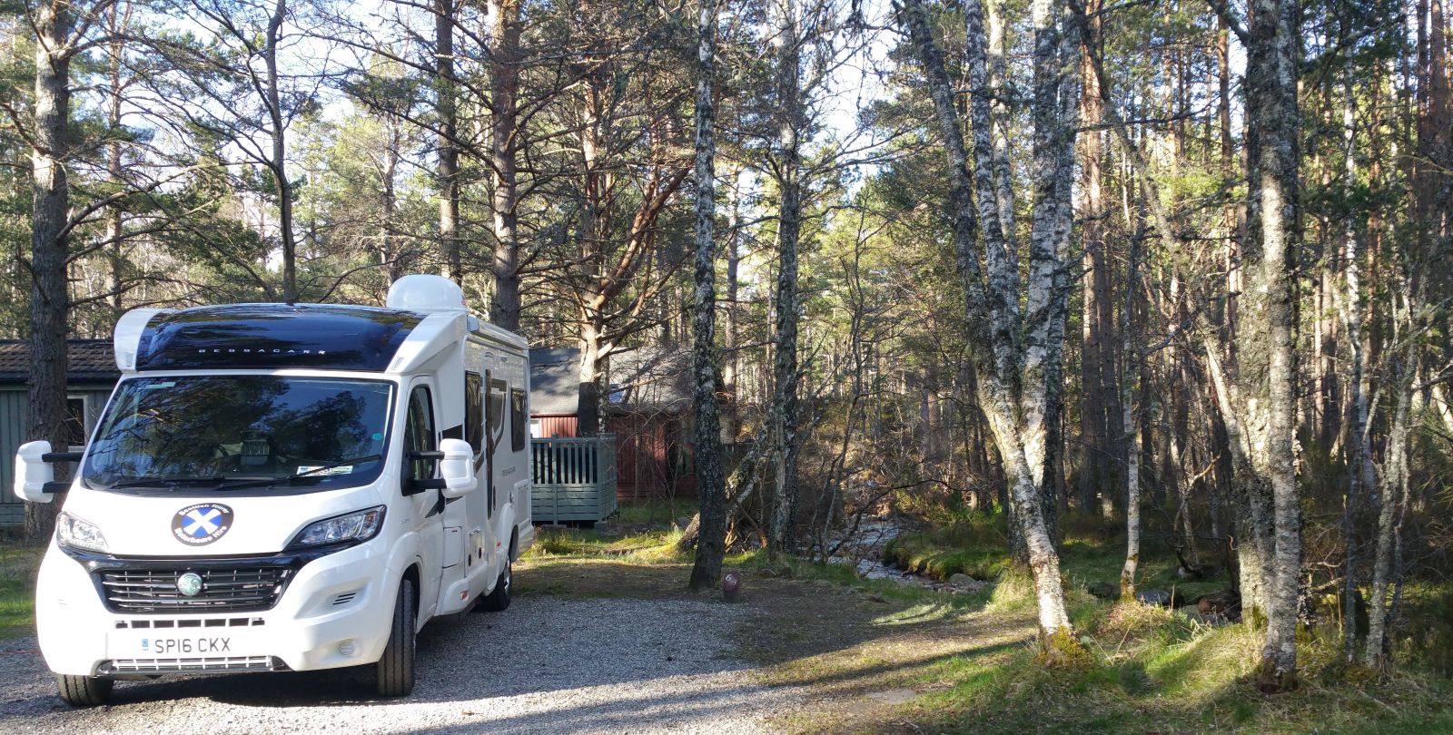 Motorhome parked in trees