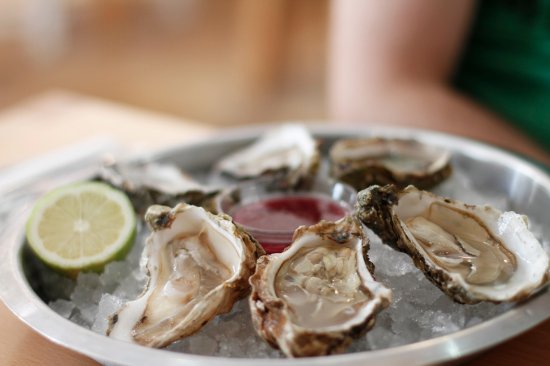 Oysters