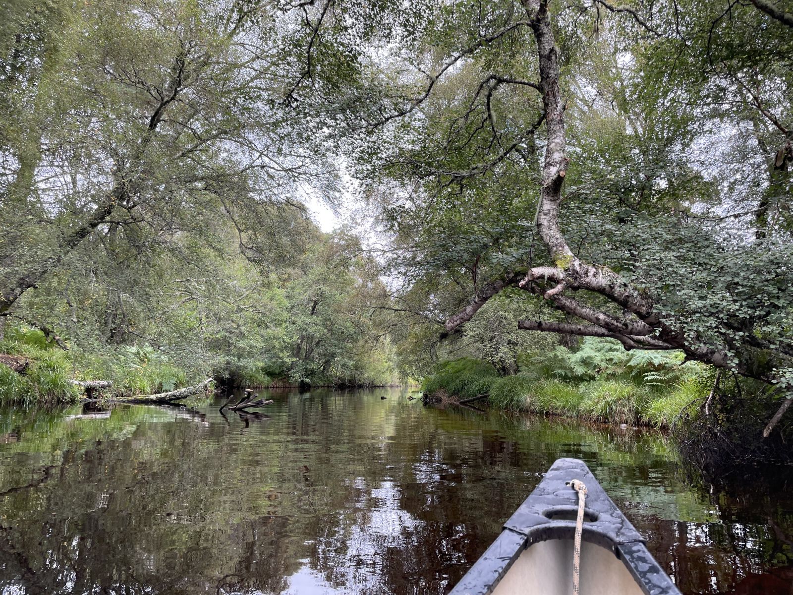 Loch Morlich kanoe trip