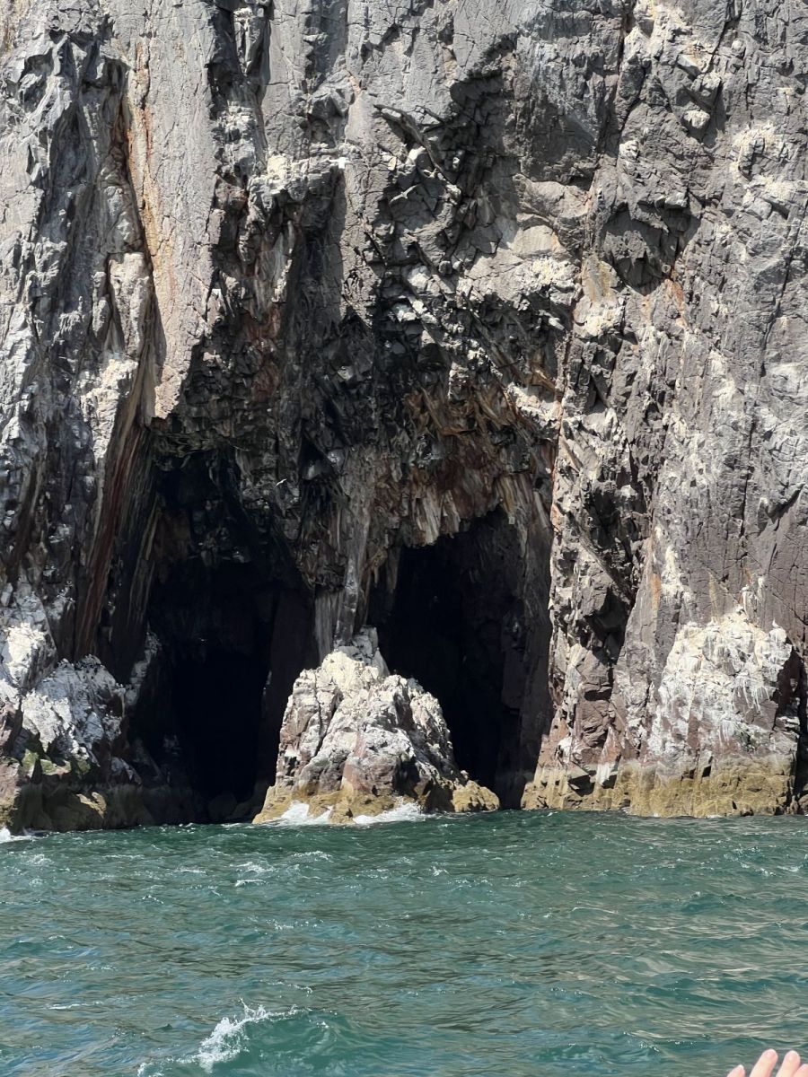 Cave On Bass Rock on the Forth of Firth