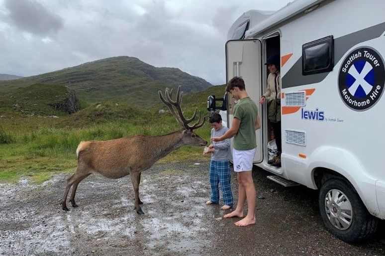 Family feeding deer outside motorhome