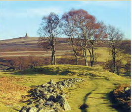 Scottish Glens with nature all around