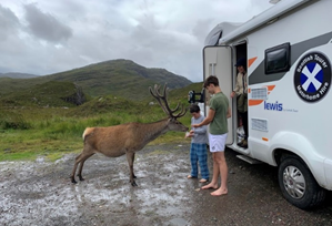 Wildlife exploring through motorhome 