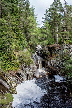 Falls of Bruar: best family walks in Scotland
