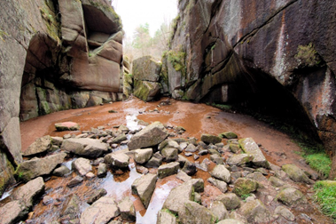 Lady Marys Walk: best family walks Scotland