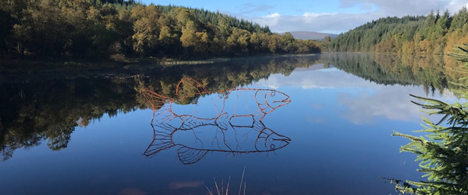 Aberfoyle Trail: best family walks in Scotland