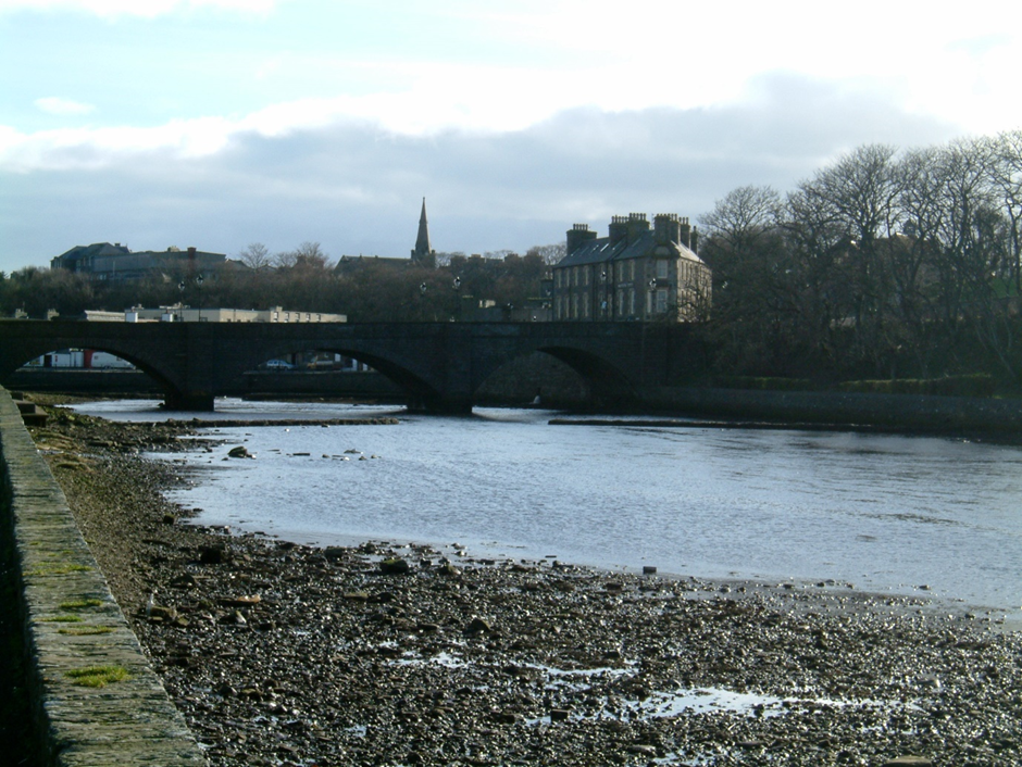 bridge over the river