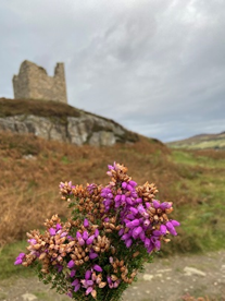 Castle Varrich at Tongue