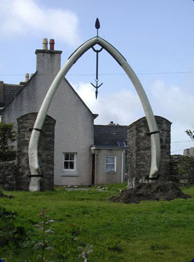 The whale Bone arch