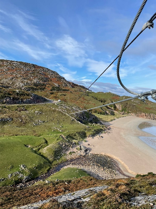 Flying fox crossing the beach