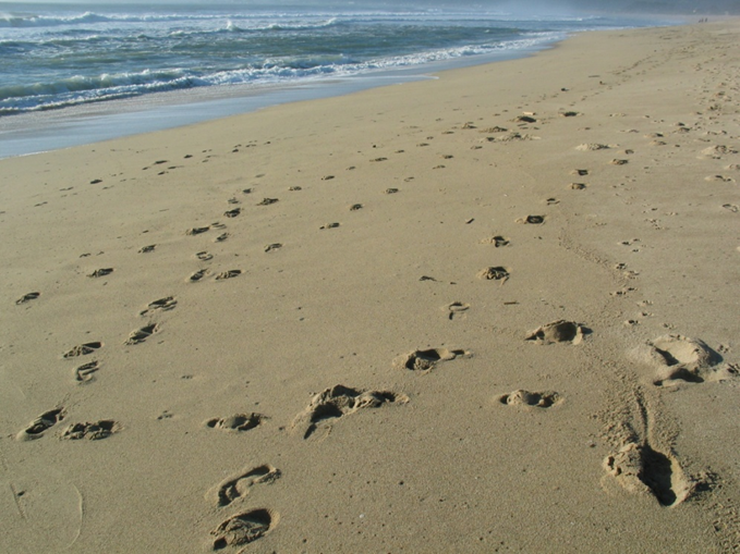 Footprints in the sand