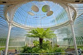 Inside the hot house dome at Glasgow's botanical gardens