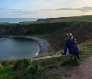 Bench overlooking a coastal path 