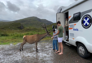 Wildlife exploring through motorhome