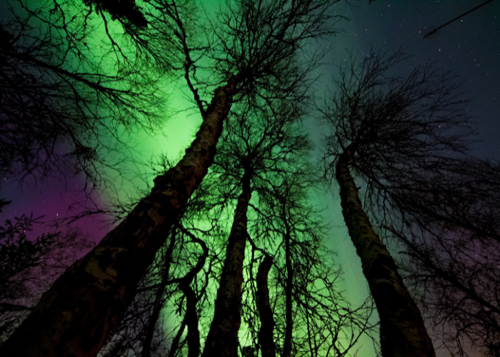 Northern Lights